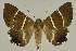  ( - BC EF Alc 00668)  @14 [ ] Copyright (2010) Unspecified Research Collection of Egbert Friedrich