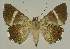  ( - BC EF Alc 00668)  @13 [ ] Copyright (2010) Unspecified Research Collection of Egbert Friedrich