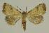  ( - BC EF Alc 00675)  @14 [ ] Copyright (2010) Unspecified Research Collection of Egbert Friedrich