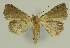  ( - BC EF Alc 00675)  @13 [ ] Copyright (2010) Unspecified Research Collection of Egbert Friedrich
