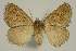  ( - BC EF Alc 00689)  @13 [ ] Copyright (2010) Unspecified Research Collection of Egbert Friedrich