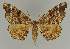  ( - BC EF Alc 00696)  @14 [ ] Copyright (2010) Unspecified Research Collection of Egbert Friedrich