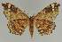  ( - BC EF Alc 00697)  @14 [ ] Copyright (2010) Unspecified Research Collection of Egbert Friedrich