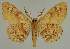  ( - BC EF Alc 00698)  @14 [ ] Copyright (2010) Unspecified Research Collection of Egbert Friedrich