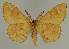  ( - BC EF Alc 00699)  @13 [ ] Copyright (2010) Unspecified Research Collection of Egbert Friedrich