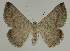  ( - BC EF Alc 00700)  @13 [ ] Copyright (2010) Unspecified Research Collection of Egbert Friedrich
