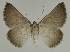  ( - BC EF Alc 00700)  @13 [ ] Copyright (2010) Unspecified Research Collection of Egbert Friedrich