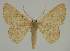  ( - BC EF Alc 00702)  @14 [ ] Copyright (2010) Unspecified Research Collection of Egbert Friedrich