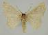  ( - BC EF Alc 00702)  @13 [ ] Copyright (2010) Unspecified Research Collection of Egbert Friedrich