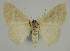  ( - BC EF Alc 00706)  @13 [ ] Copyright (2010) Unspecified Research Collection of Egbert Friedrich