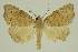  ( - BC EF Alc 00719)  @14 [ ] Copyright (2010) Unspecified Research Collection of Egbert Friedrich
