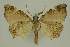  ( - BC EF Alc 00719)  @13 [ ] Copyright (2010) Unspecified Research Collection of Egbert Friedrich