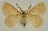  ( - BC EF Alc 00729)  @13 [ ] Copyright (2010) Unspecified Research Collection of Egbert Friedrich
