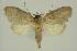  ( - BC EF Alc 00752)  @13 [ ] Copyright (2010) Unspecified Research Collection of Egbert Friedrich