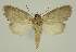  ( - BC EF Alc 00753)  @13 [ ] Copyright (2010) Unspecified Research Collection of Egbert Friedrich