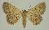  ( - BC EF Alc 00758)  @14 [ ] Copyright (2010) Unspecified Research Collection of Egbert Friedrich