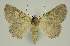  ( - BC EF Alc 00758)  @13 [ ] Copyright (2010) Unspecified Research Collection of Egbert Friedrich