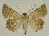 ( - BC EF Alc 00763)  @12 [ ] Copyright (2010) Unspecified Research Collection of Egbert Friedrich