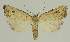 ( - BC EF Alc 00766)  @14 [ ] Copyright (2010) Unspecified Research Collection of Egbert Friedrich