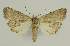  ( - BC EF Alc 00766)  @13 [ ] Copyright (2010) Unspecified Research Collection of Egbert Friedrich