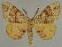  ( - BC EF Alc 00775)  @14 [ ] Copyright (2010) Unspecified Research Collection of Egbert Friedrich