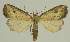  ( - BC EF Alc 00780)  @14 [ ] Copyright (2010) Unspecified Research Collection of Egbert Friedrich