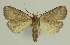  ( - BC EF Alc 00780)  @13 [ ] Copyright (2010) Unspecified Research Collection of Egbert Friedrich