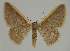  ( - BC EF Alc 00783)  @14 [ ] Copyright (2010) Unspecified Research Collection of Egbert Friedrich