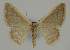  ( - BC EF Alc 00783)  @13 [ ] Copyright (2010) Unspecified Research Collection of Egbert Friedrich