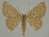 ( - BC EF Alc 00784)  @14 [ ] Copyright (2010) Unspecified Research Collection of Egbert Friedrich
