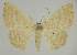  ( - BC EF Alc 00788)  @14 [ ] Copyright (2010) Unspecified Research Collection of Egbert Friedrich
