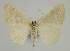  ( - BC EF Alc 00788)  @13 [ ] Copyright (2010) Unspecified Research Collection of Egbert Friedrich