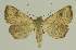  ( - BC EF Alc 00799)  @14 [ ] Copyright (2010) Unspecified Research Collection of Egbert Friedrich