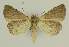  ( - BC EF Alc 00799)  @14 [ ] Copyright (2010) Unspecified Research Collection of Egbert Friedrich