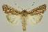  ( - BC EF Alc 00800)  @14 [ ] Copyright (2010) Unspecified Research Collection of Egbert Friedrich