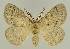  ( - BC EF Alc 00812)  @14 [ ] Copyright (2010) Unspecified Research Collection of Egbert Friedrich