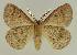  ( - BC EF Alc 00812)  @13 [ ] Copyright (2010) Unspecified Research Collection of Egbert Friedrich