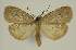  ( - BC EF Alc 00815)  @13 [ ] Copyright (2010) Unspecified Research Collection of Egbert Friedrich