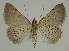  ( - BC EF Alc 00825)  @12 [ ] Copyright (2010) Unspecified Research Collection of Egbert Friedrich