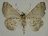  ( - BC EF Alc 00827)  @12 [ ] Copyright (2010) Unspecified Research Collection of Egbert Friedrich