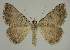  ( - BC EF Alc 00829)  @13 [ ] Copyright (2010) Unspecified Research Collection of Egbert Friedrich