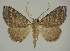  ( - BC EF Alc 00831)  @14 [ ] Copyright (2010) Unspecified Research Collection of Egbert Friedrich