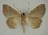  ( - BC EF Alc 00831)  @13 [ ] Copyright (2010) Unspecified Research Collection of Egbert Friedrich