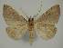  ( - BC EF Alc 00832)  @13 [ ] Copyright (2010) Unspecified Research Collection of Egbert Friedrich