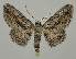  ( - BC EF Alc 00833)  @14 [ ] Copyright (2010) Unspecified Research Collection of Egbert Friedrich