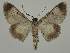  ( - BC EF Alc 00833)  @13 [ ] Copyright (2010) Unspecified Research Collection of Egbert Friedrich