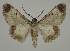  ( - BC EF Alc 00834)  @13 [ ] Copyright (2010) Unspecified Research Collection of Egbert Friedrich