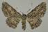  ( - BC EF Alc 00835)  @14 [ ] Copyright (2010) Unspecified Research Collection of Egbert Friedrich