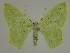  ( - BC EF Alc 00838)  @14 [ ] Copyright (2010) Unspecified Research Collection of Egbert Friedrich