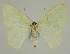  ( - BC EF Alc 00838)  @13 [ ] Copyright (2010) Unspecified Research Collection of Egbert Friedrich